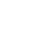 Logo WordPress